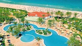 Riadh Palms