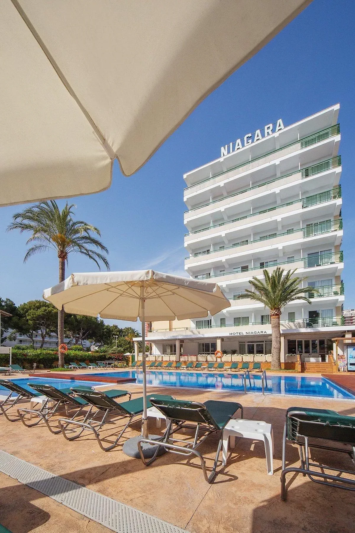 Główne zdjęcie galerii