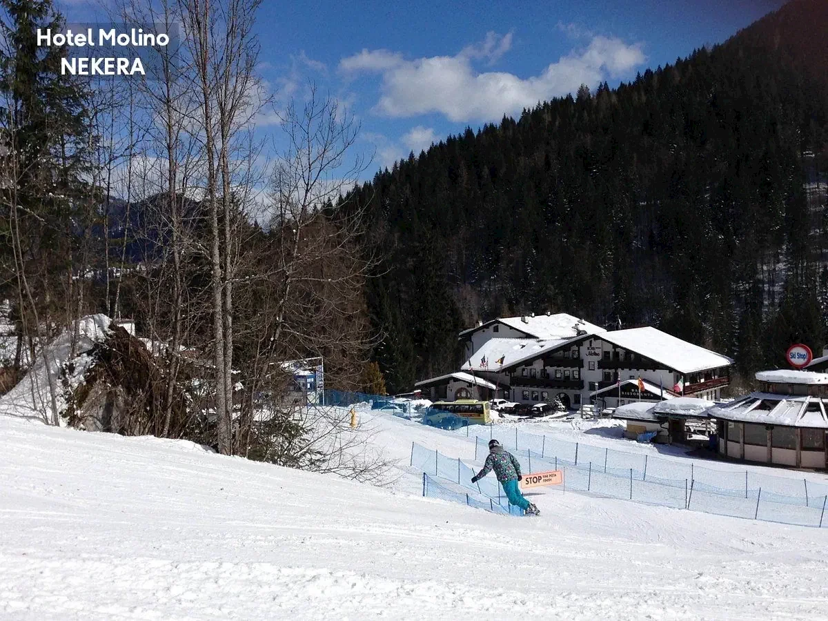 Główne zdjęcie galerii