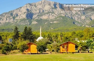 Elamir Felizya