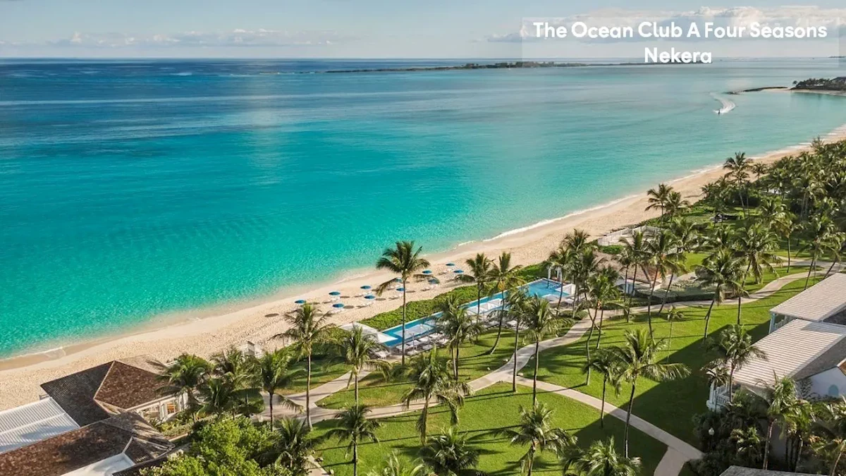 Główne zdjęcie galerii