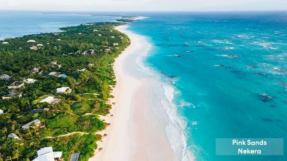 Hotel Pink Sands