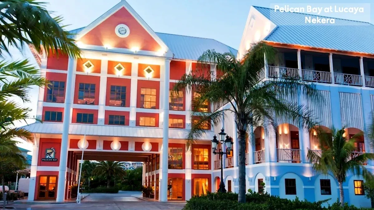 Główne zdjęcie galerii