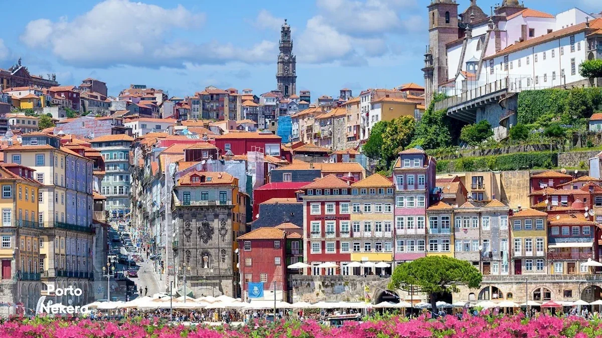 Główne zdjęcie galerii