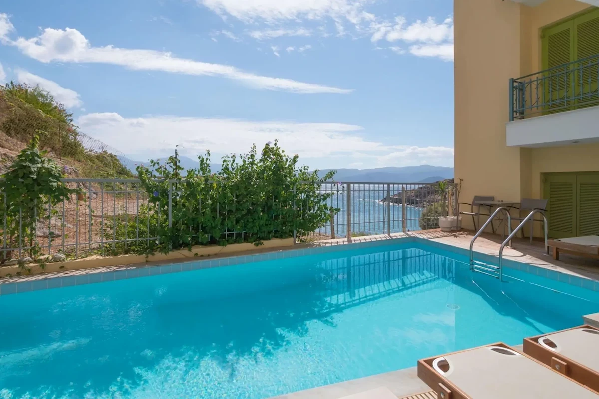 Główne zdjęcie galerii