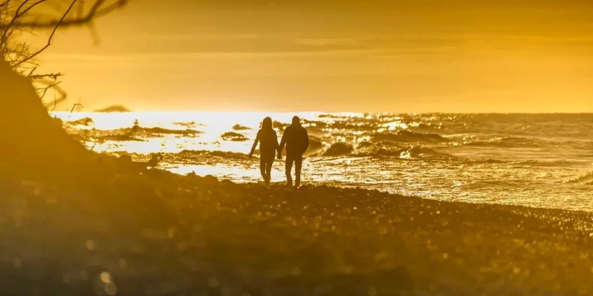 Główne zdjęcie galerii