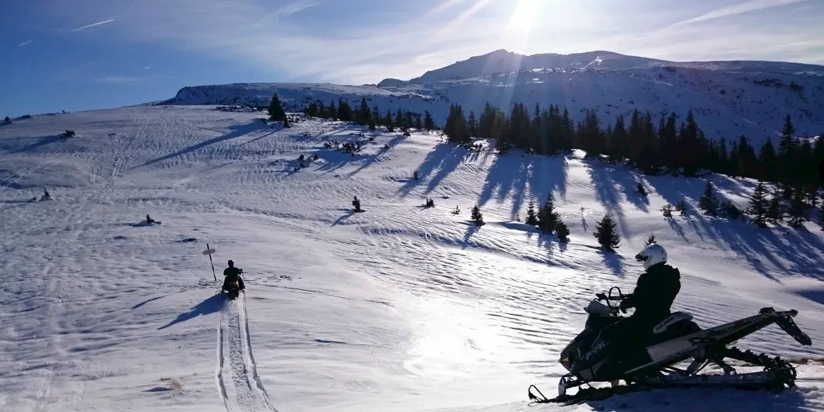 Główne zdjęcie galerii