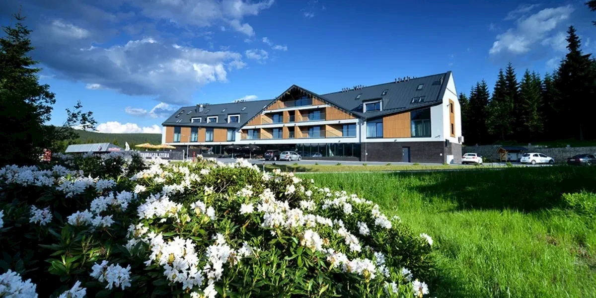 Główne zdjęcie galerii