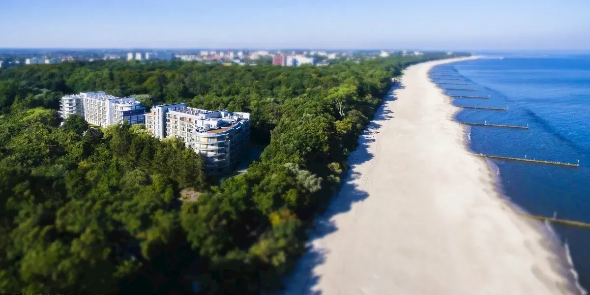 Główne zdjęcie galerii