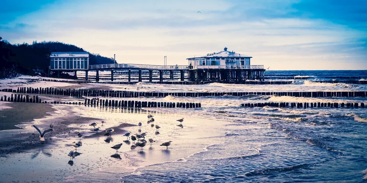 Główne zdjęcie galerii