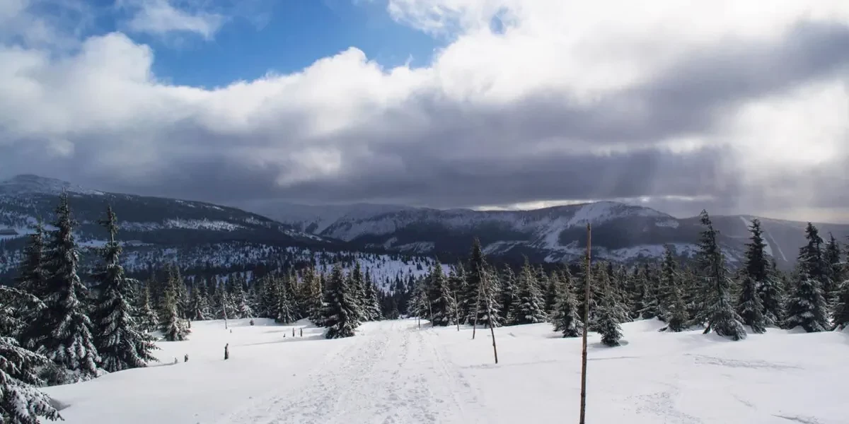 Główne zdjęcie galerii