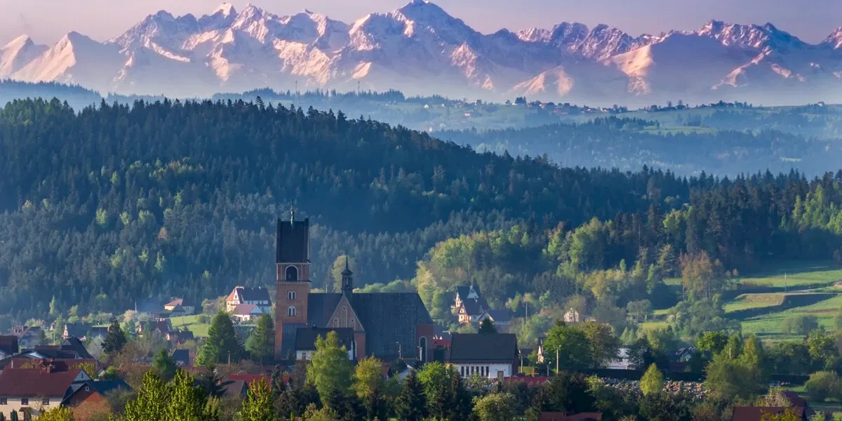 Główne zdjęcie galerii