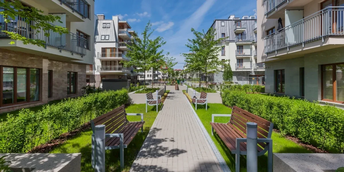 Główne zdjęcie galerii