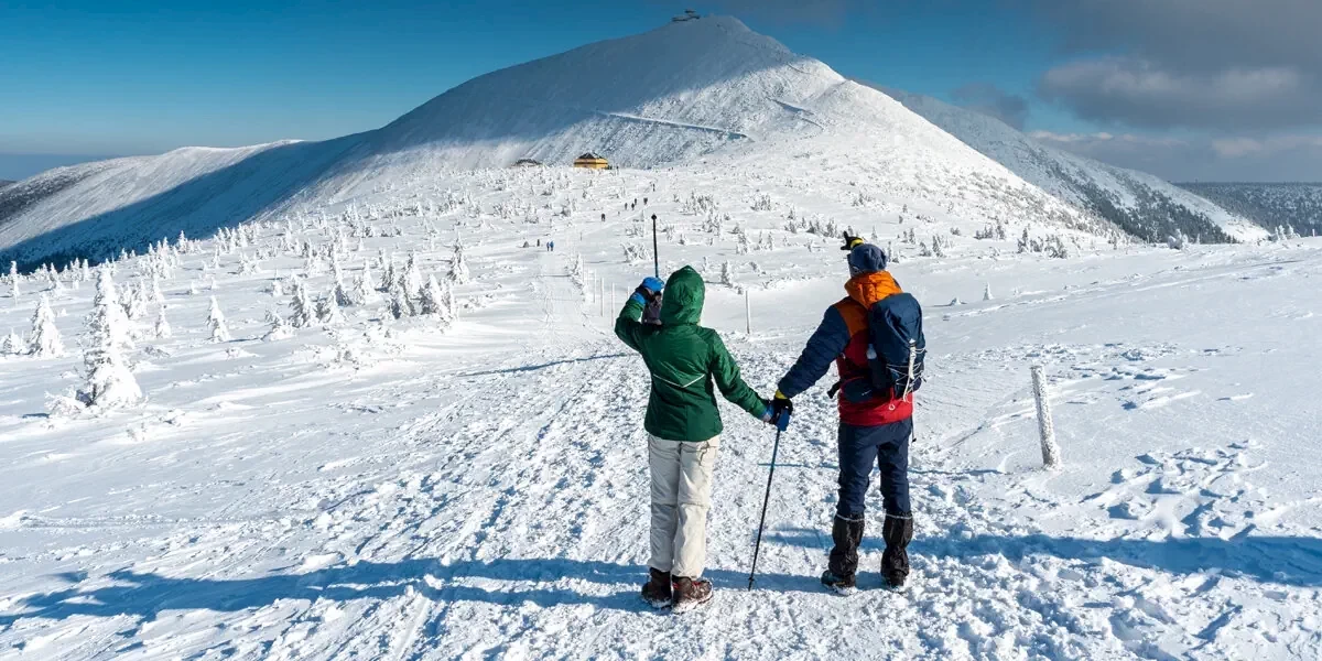 Główne zdjęcie galerii