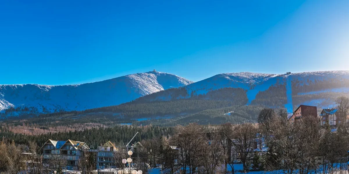 Główne zdjęcie galerii