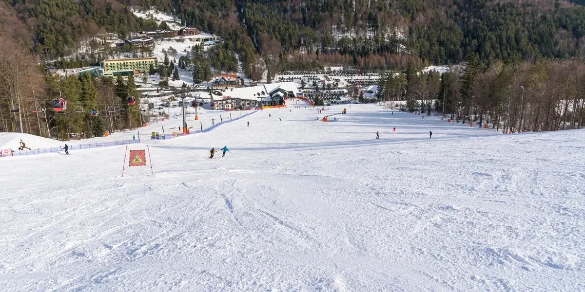 Główne zdjęcie galerii