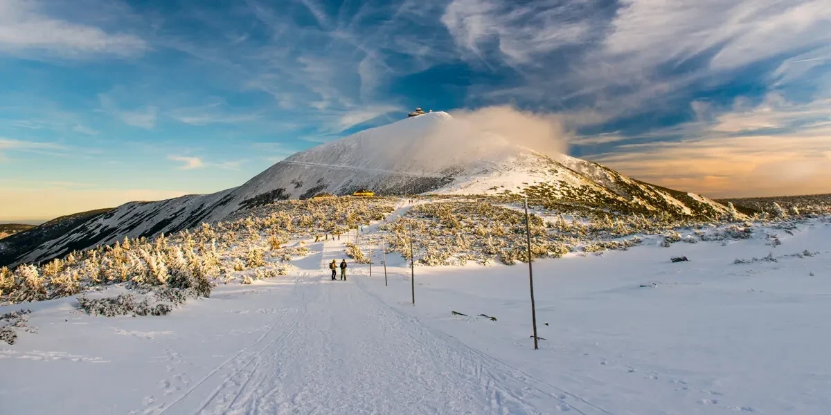 Główne zdjęcie galerii
