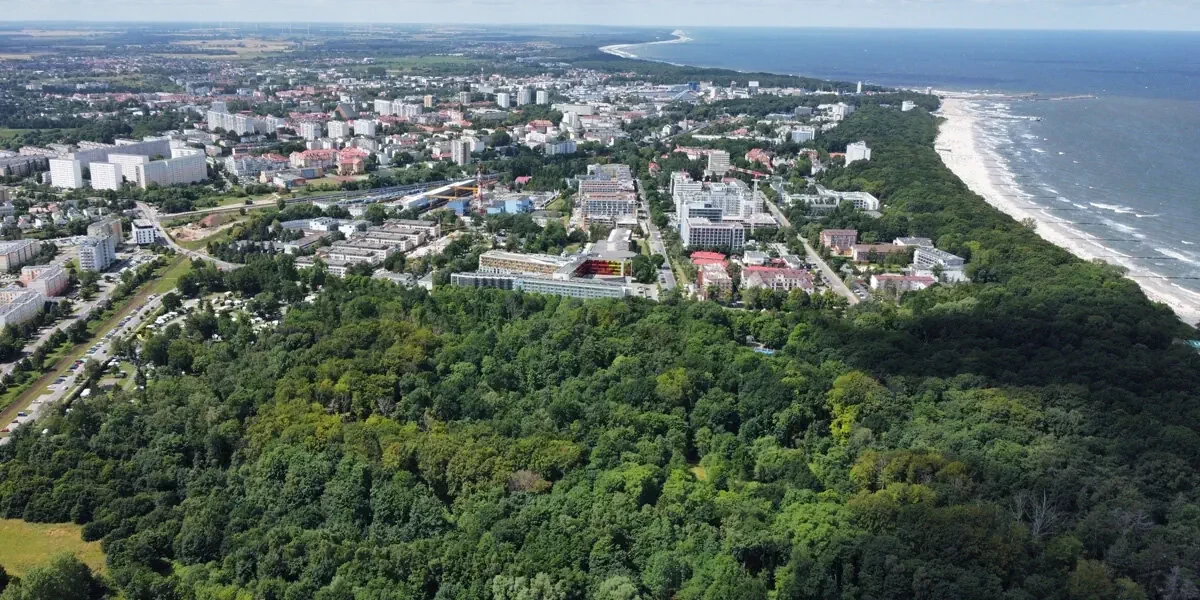 Główne zdjęcie galerii