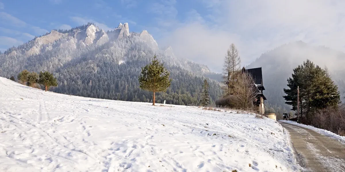 Główne zdjęcie galerii