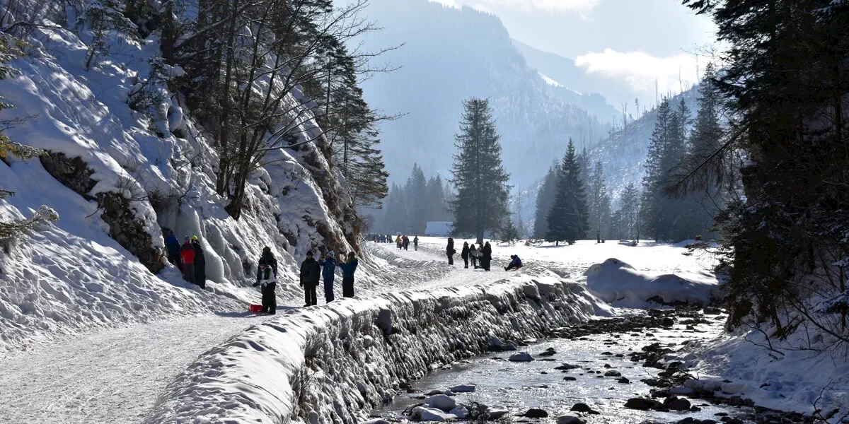 Główne zdjęcie galerii