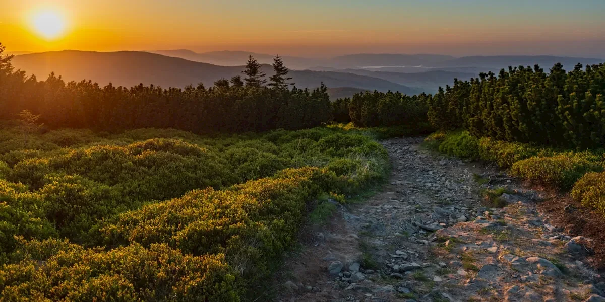 Główne zdjęcie galerii