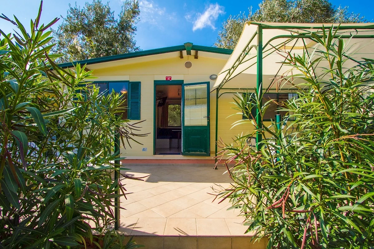 Główne zdjęcie galerii