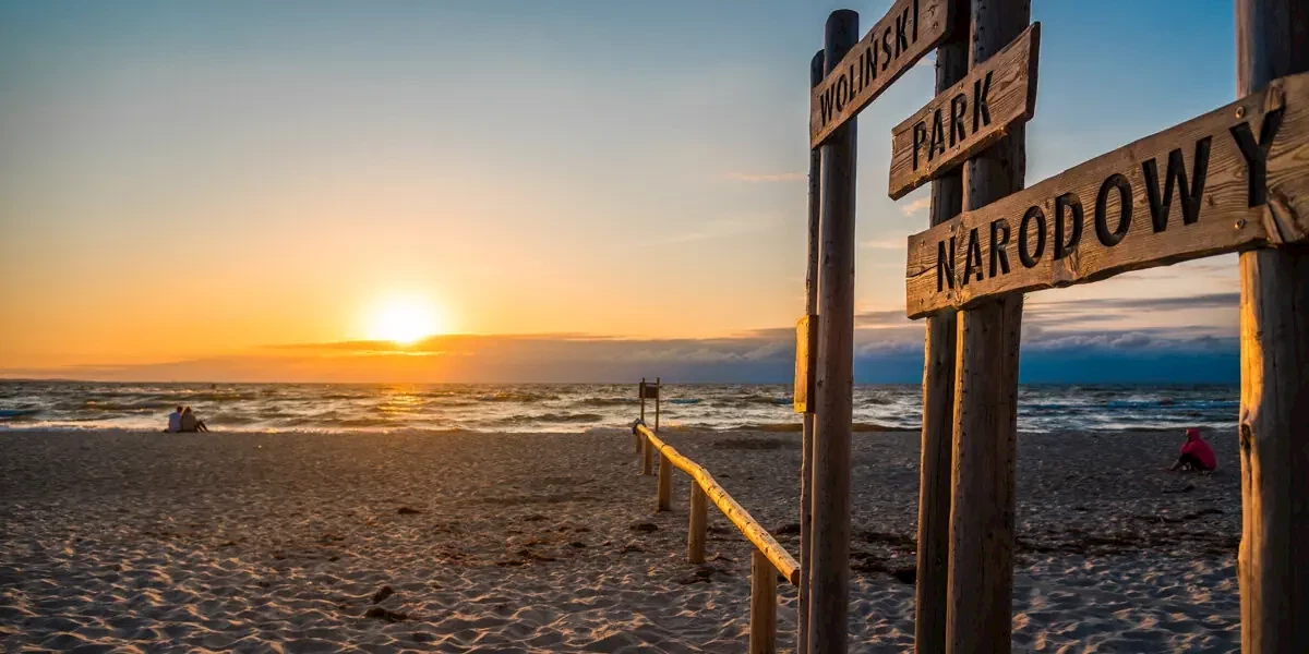 Główne zdjęcie galerii