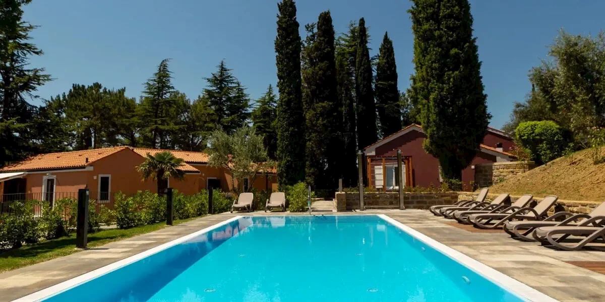 Główne zdjęcie galerii