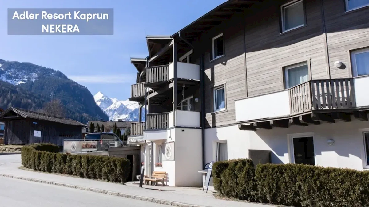 Główne zdjęcie galerii