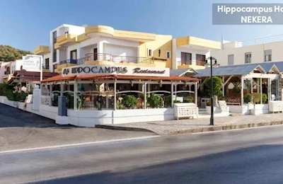 Hippocampus