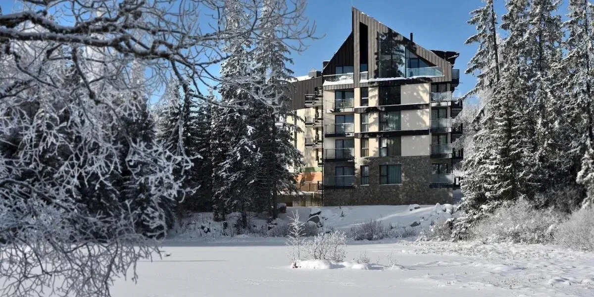 Główne zdjęcie galerii