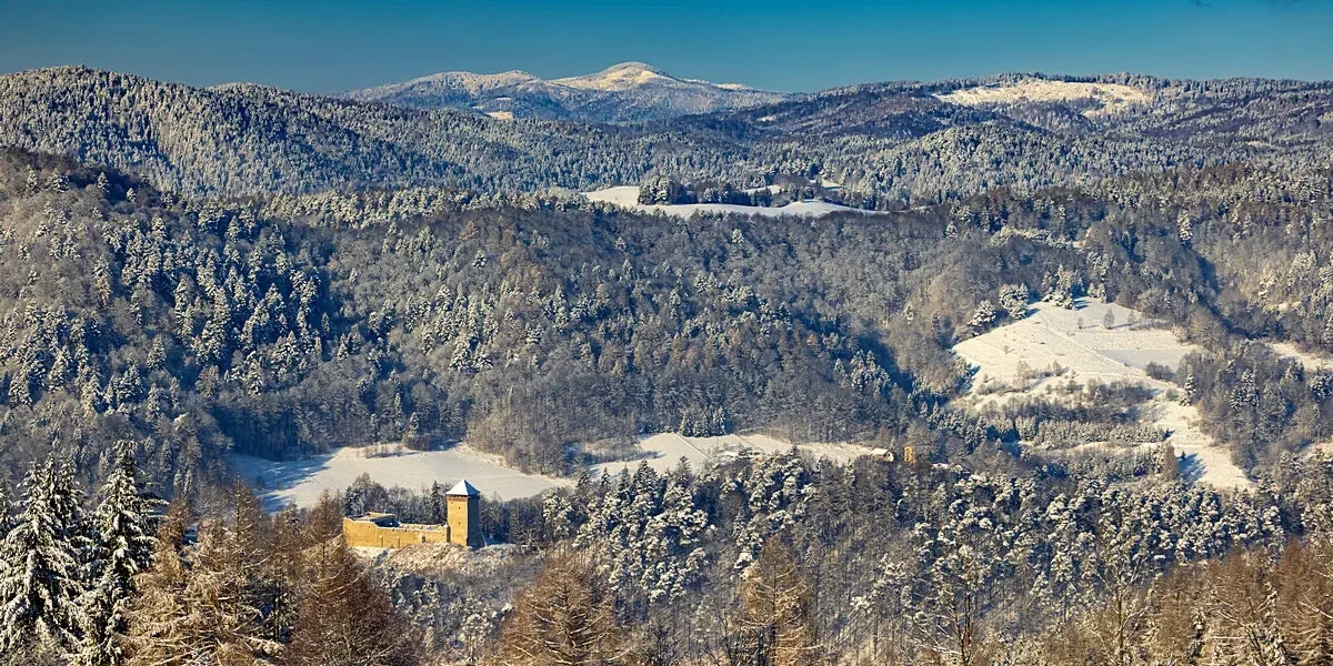 Główne zdjęcie galerii