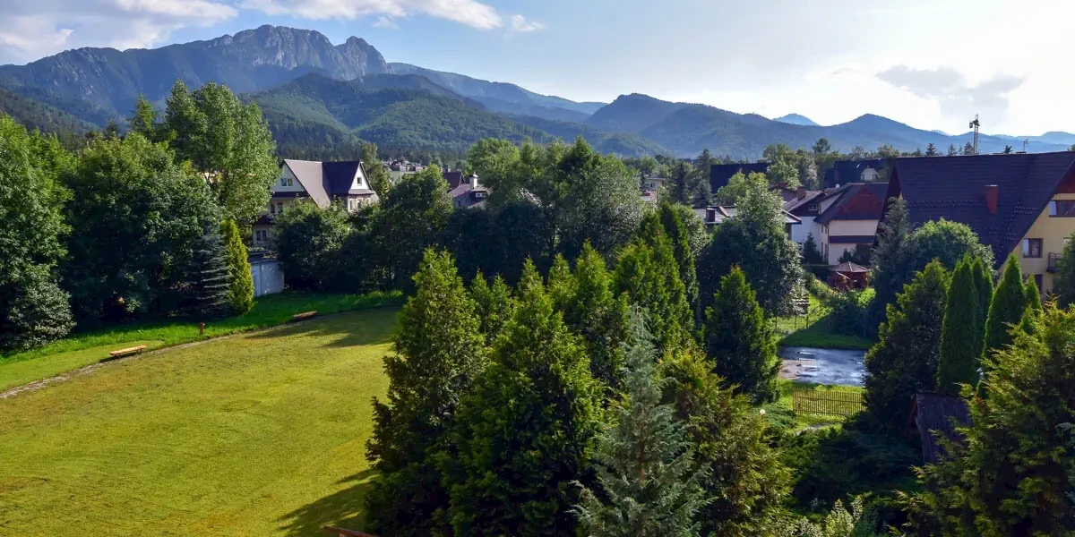 Główne zdjęcie galerii