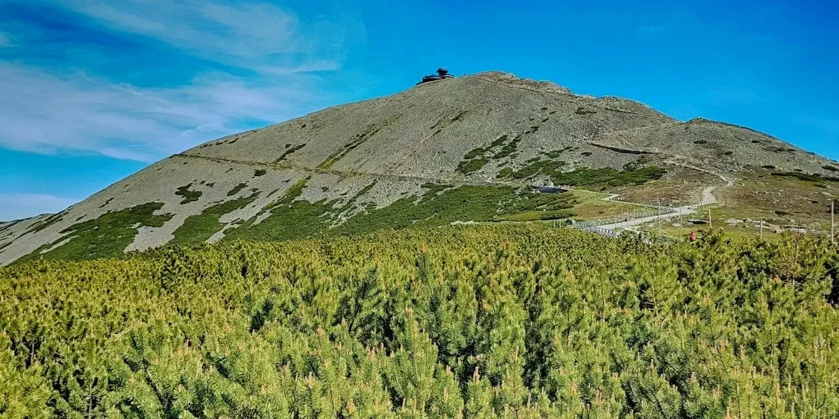 Główne zdjęcie galerii