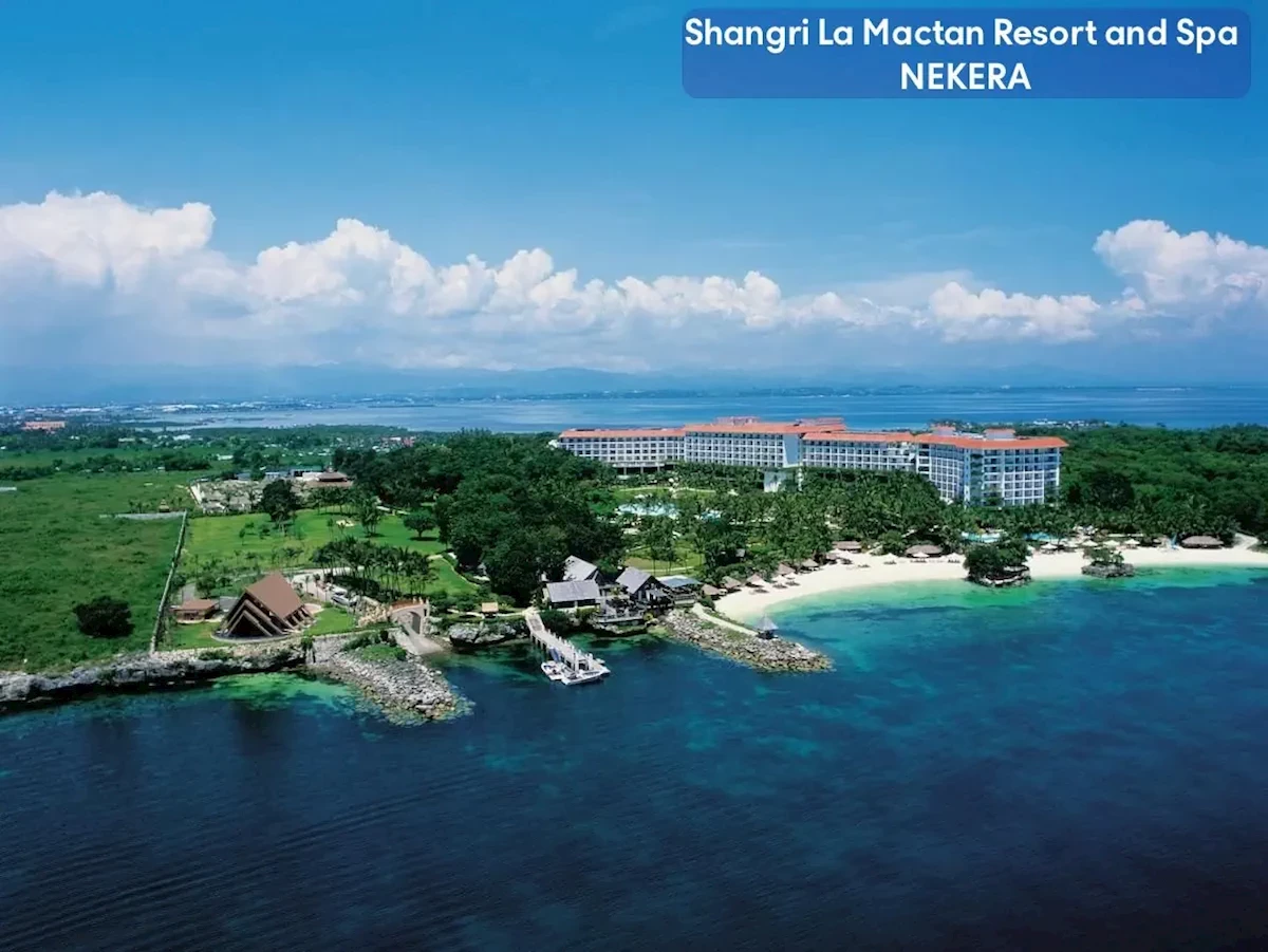 Główne zdjęcie galerii