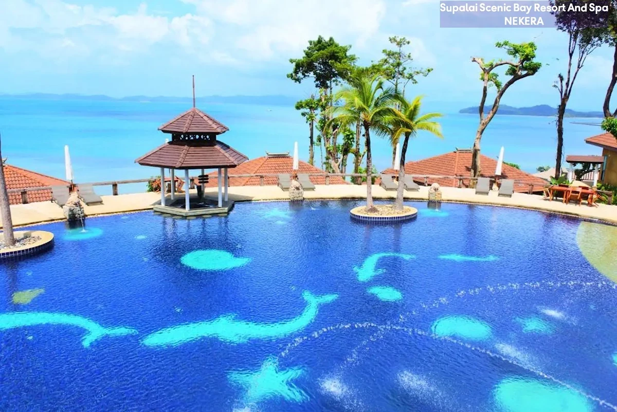 Główne zdjęcie galerii