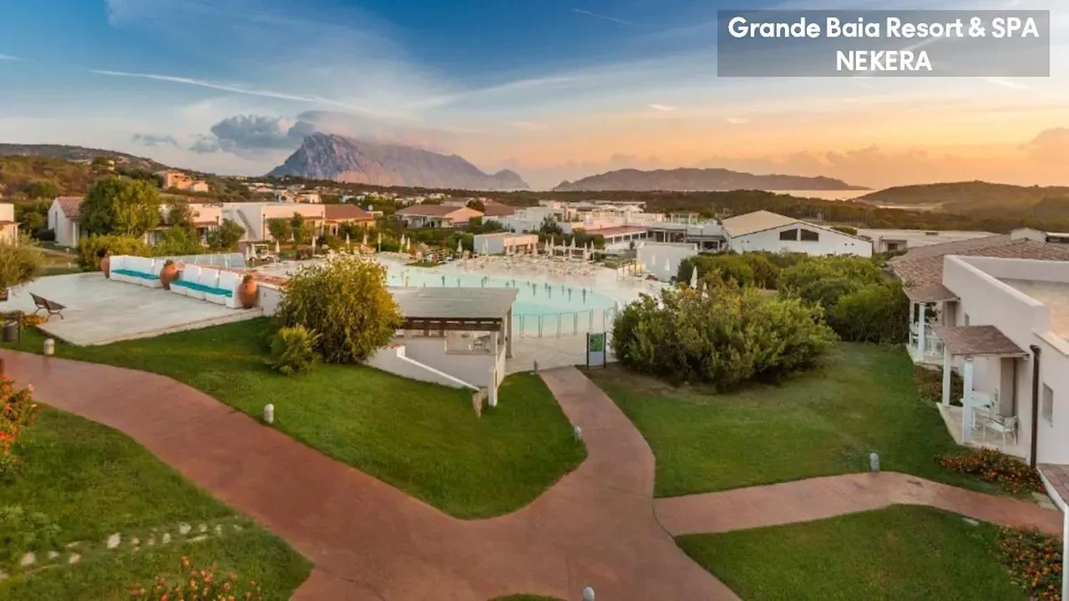 Główne zdjęcie galerii