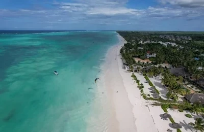 Tamu Tamu Zanzibar