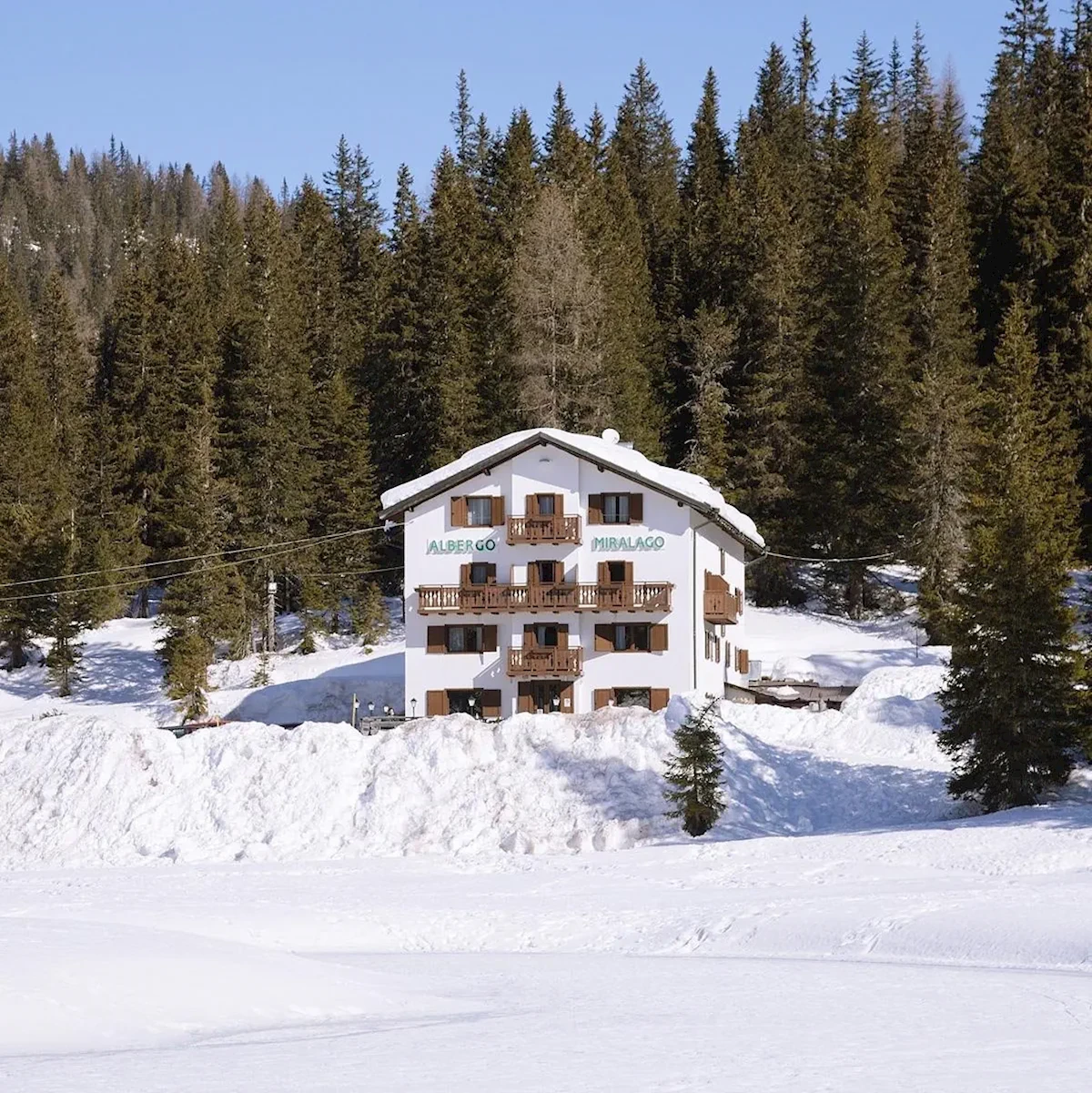 Główne zdjęcie galerii