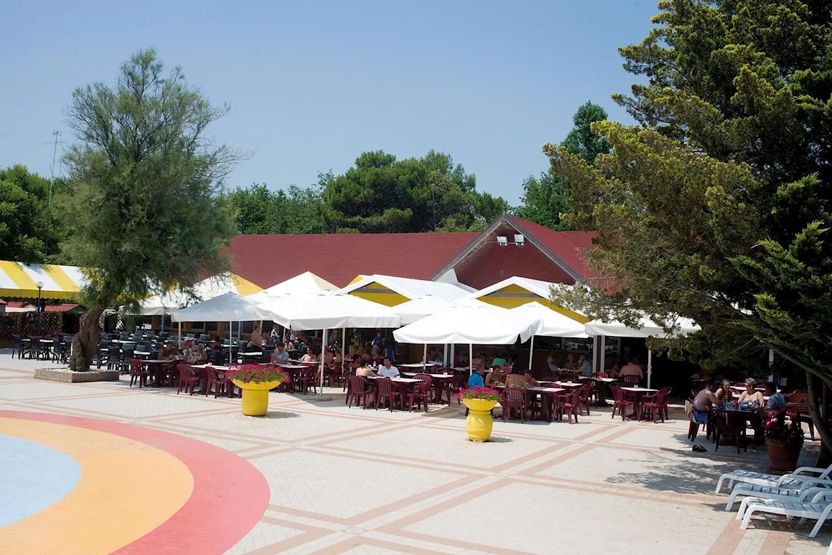 Główne zdjęcie galerii