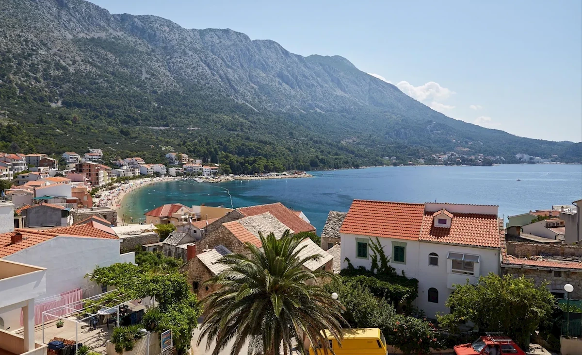 Główne zdjęcie galerii