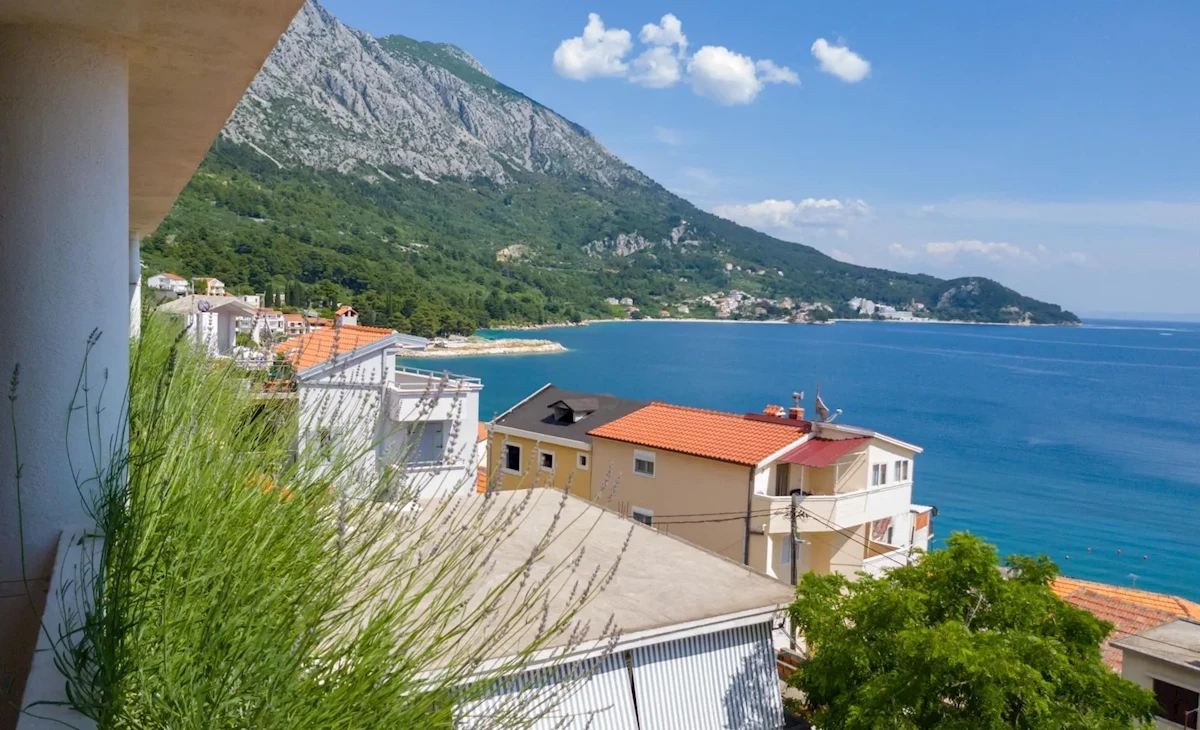 Główne zdjęcie galerii