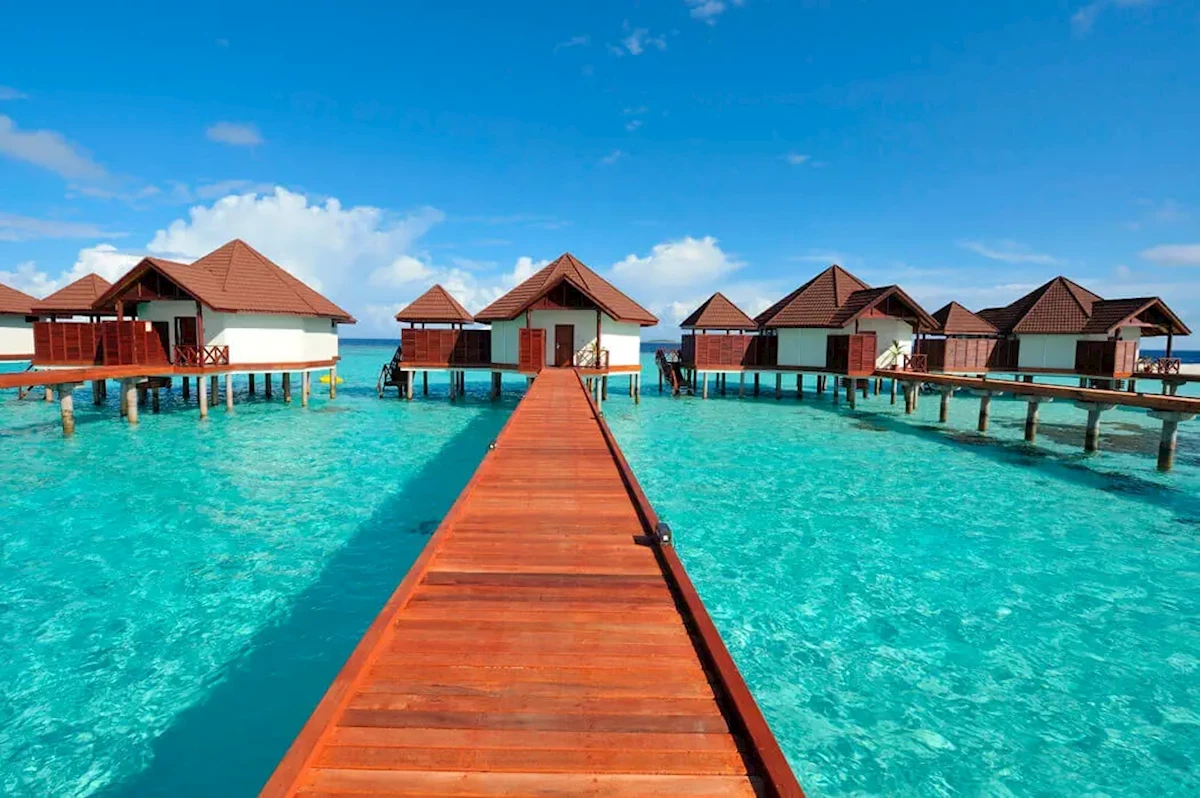 Hlavný obrázok galérie