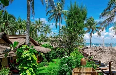 Bamboo Village