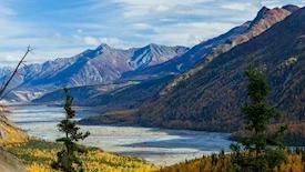 Kanada i Alaska - Łosie i Łososie