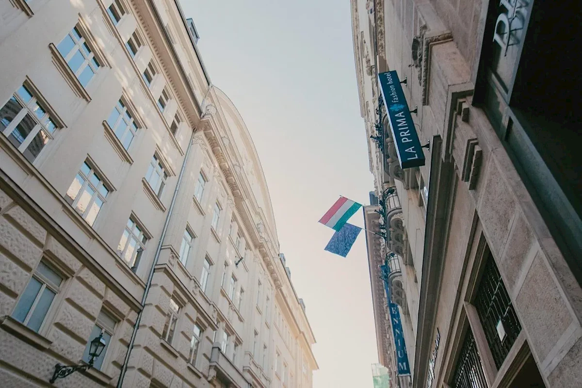 Główne zdjęcie galerii