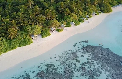 Plumeria Maldives