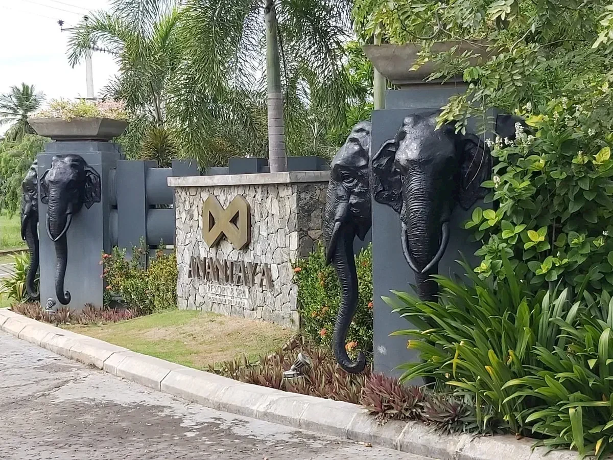 Hlavný obrázok galérie