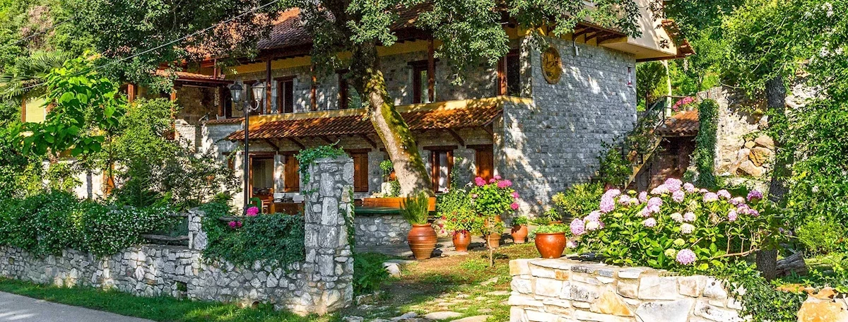 Główne zdjęcie galerii