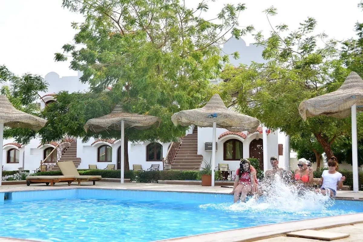 Główne zdjęcie galerii